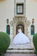 Elegant Lace Embellished Long Bridal Wedding Gown Detailed
