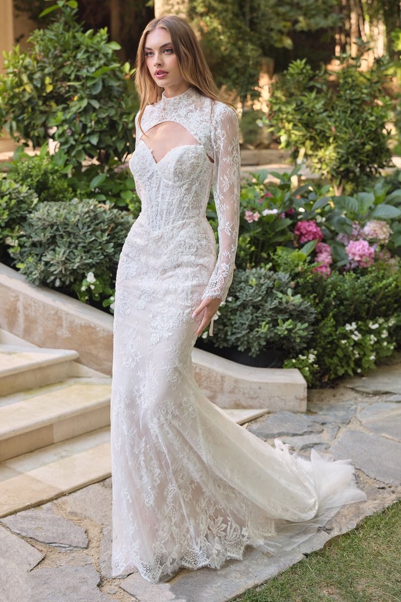 Beaded Sweetheart Long Sleeve Mermaid Wedding Dress
