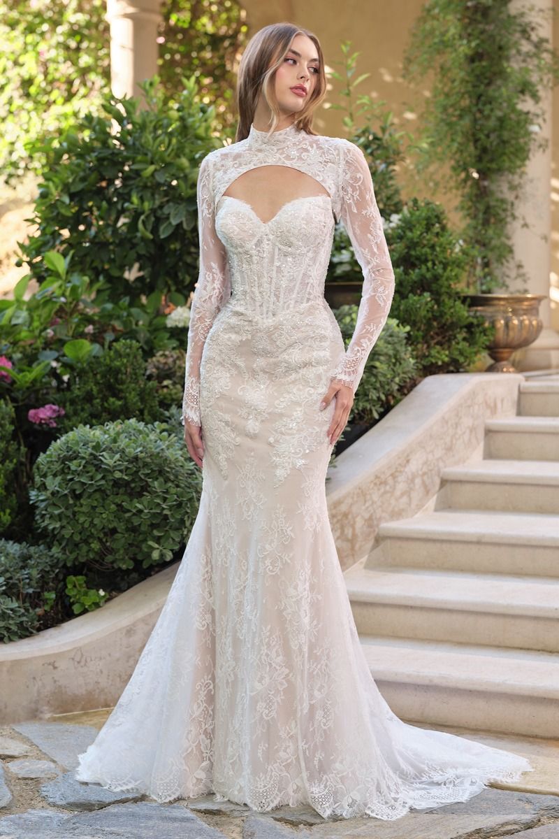 Beaded Sweetheart Long Sleeve Mermaid Wedding Dress